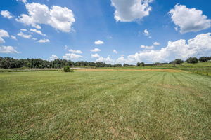 Yard15