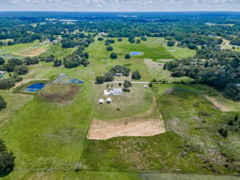 Aerial (13)