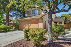 003_F8_2093 Wente Way  San Jose