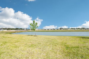 Tampa Division - Stuart Crossing - Lot 0168 - 2098 Rosewood Drive, Bartow, FL 33830-47