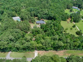  Photo 41