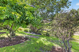  Photo 52