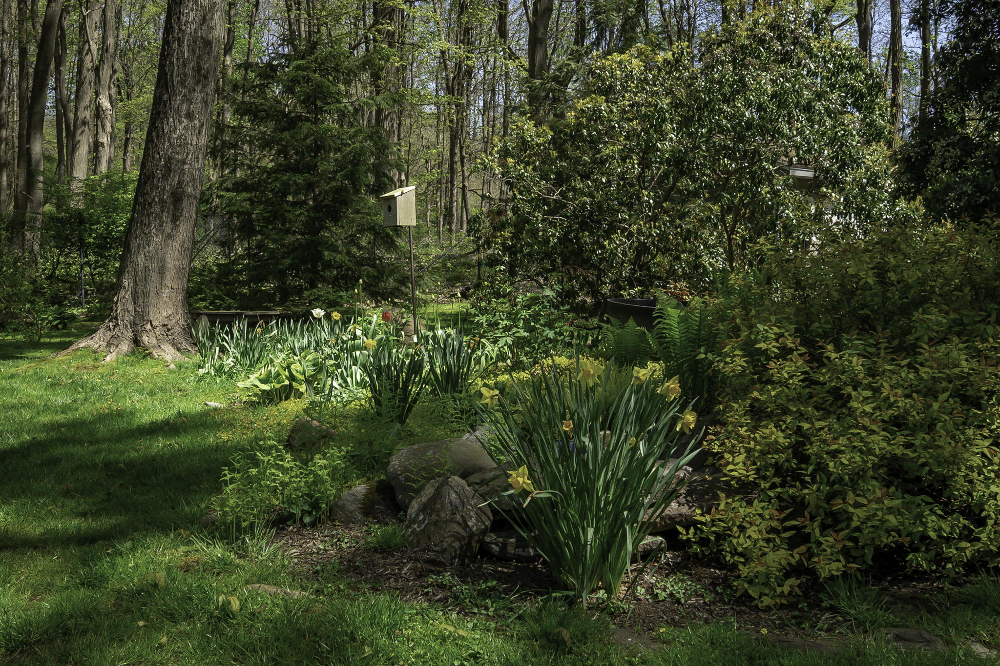 21 Blair Rd, Armonk, NY 10504, USA Photo 15