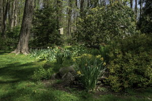 21 Blair Rd, Armonk, NY 10504, USA Photo 14