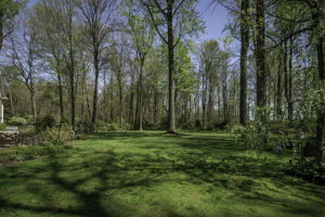 21 Blair Rd, Armonk, NY 10504, USA Photo 9