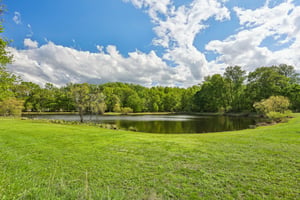Brookwood Rd-S0105-080.jpg