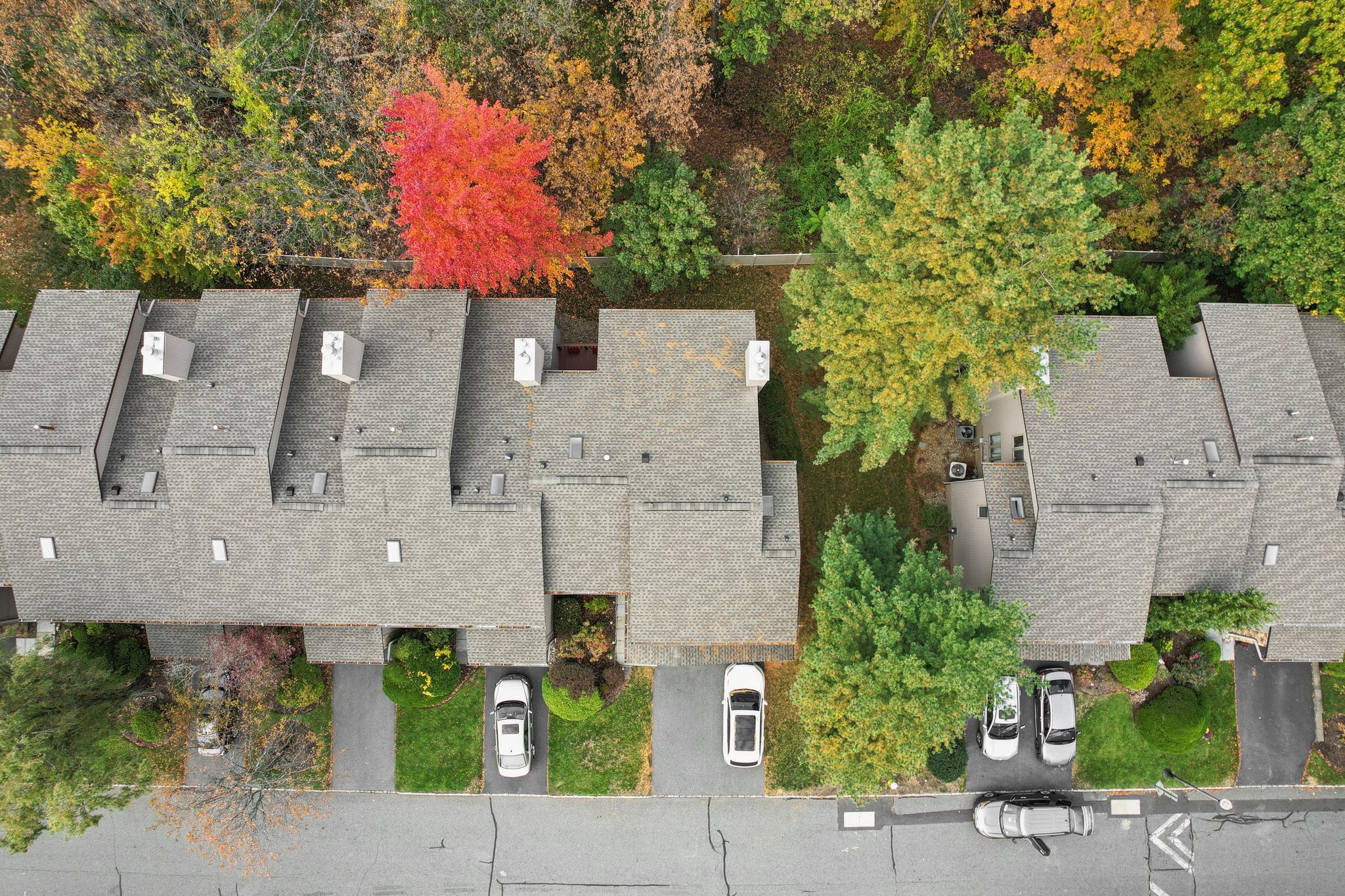 Cedarwood Terrace-S3010-037.jpg