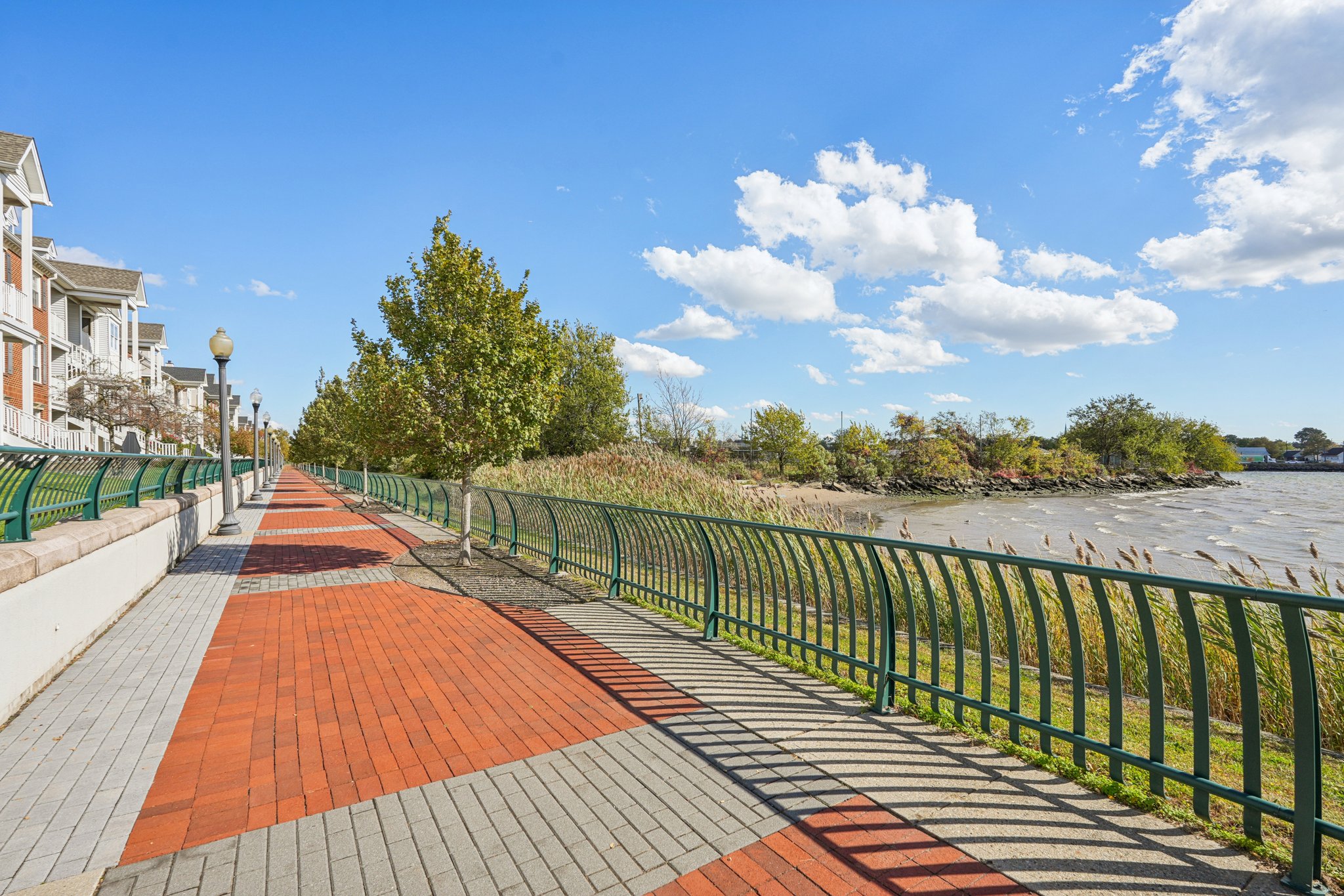 Cottonwood St-2310-916.jpg