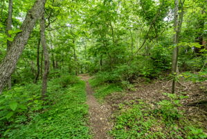  Photo 49