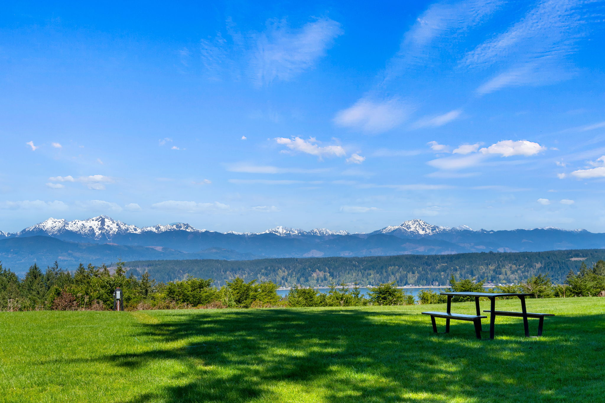  Photo 50