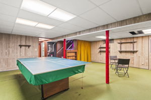 Recreation Room
