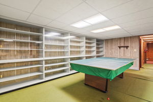 Recreation Room