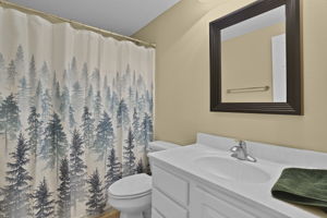 Lower Level Bathroom