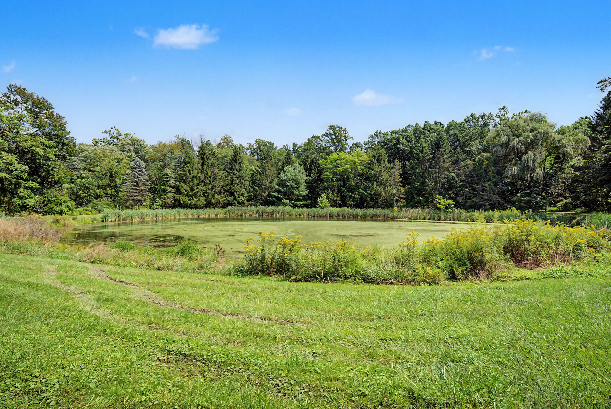  Photo 90