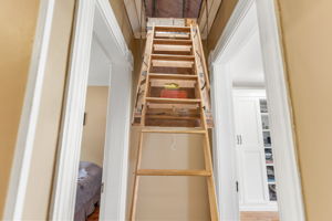  Photo 31