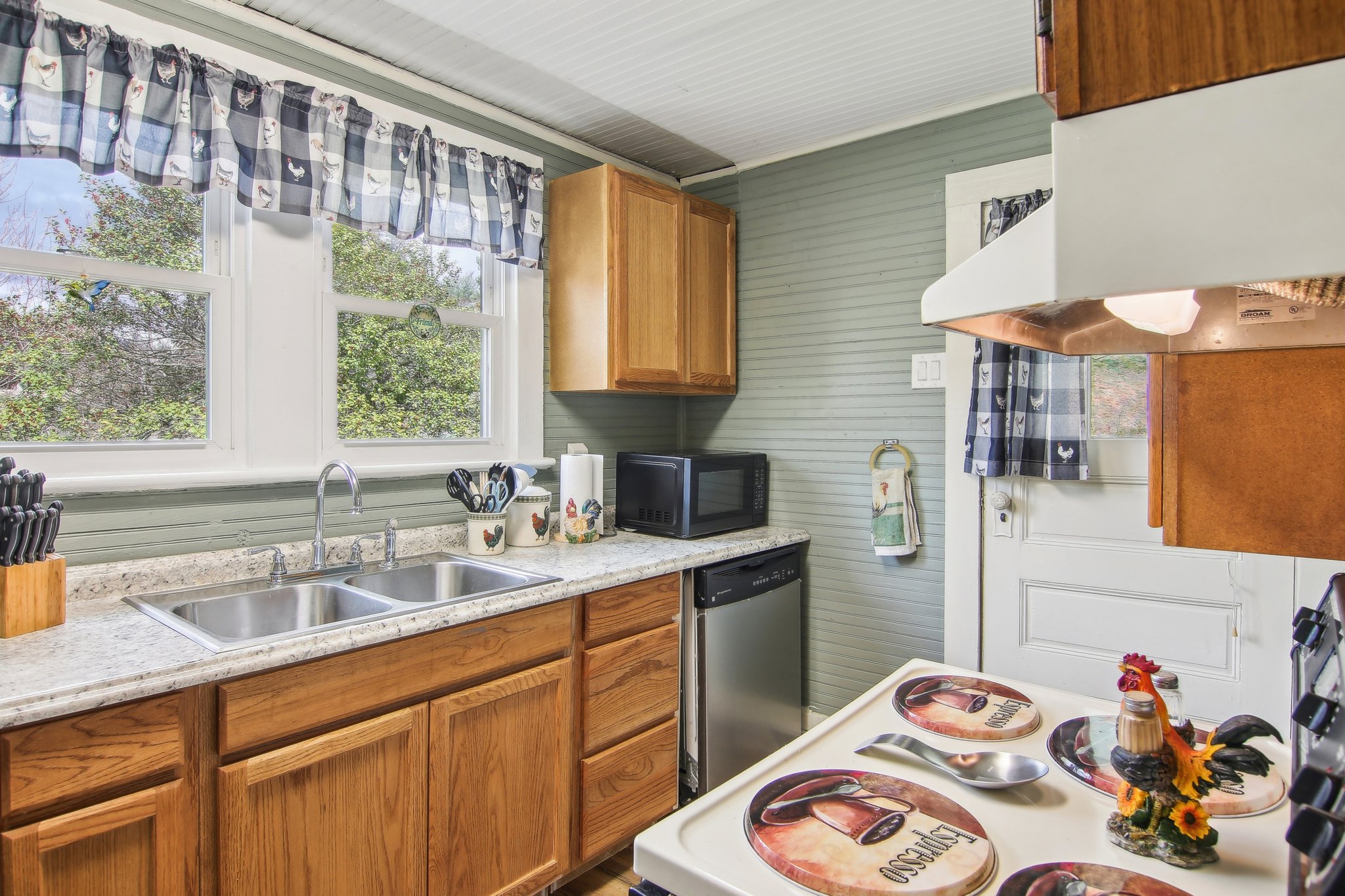 Henry Dr-03042025-019.jpg