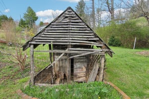 Henry Dr-03042025-048.jpg