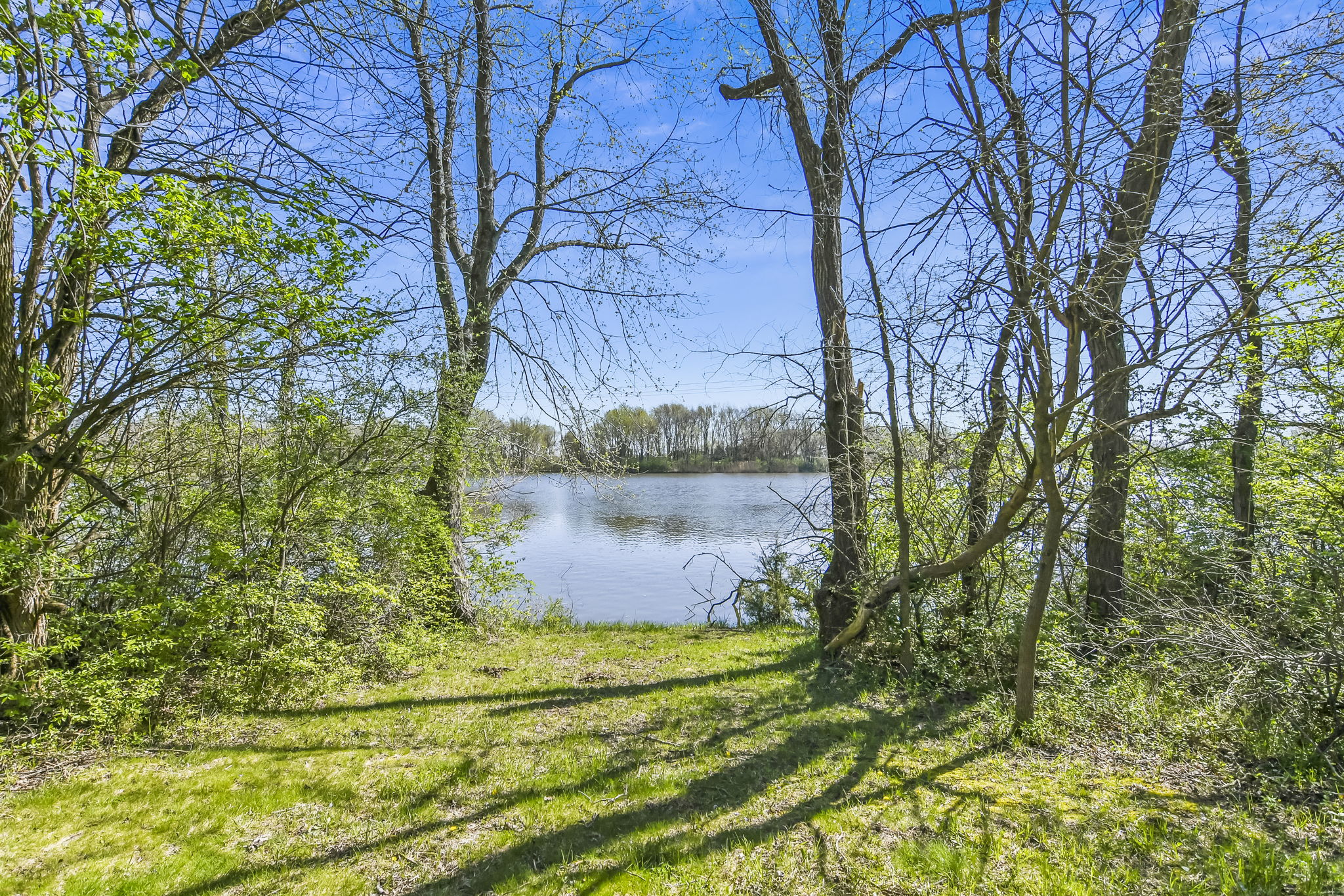 21 Meadow Ln, Tovey, IL 62570 Design Eyes Photography