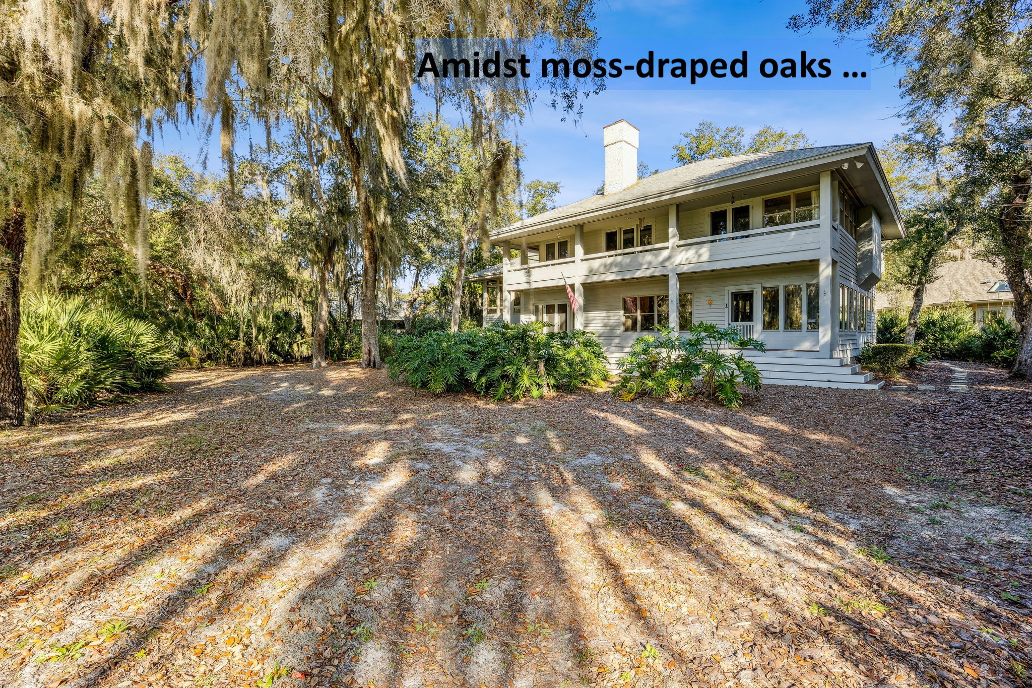 The yard showcases mature maritime vegetation, including moss-draped oaks and mature palms ...