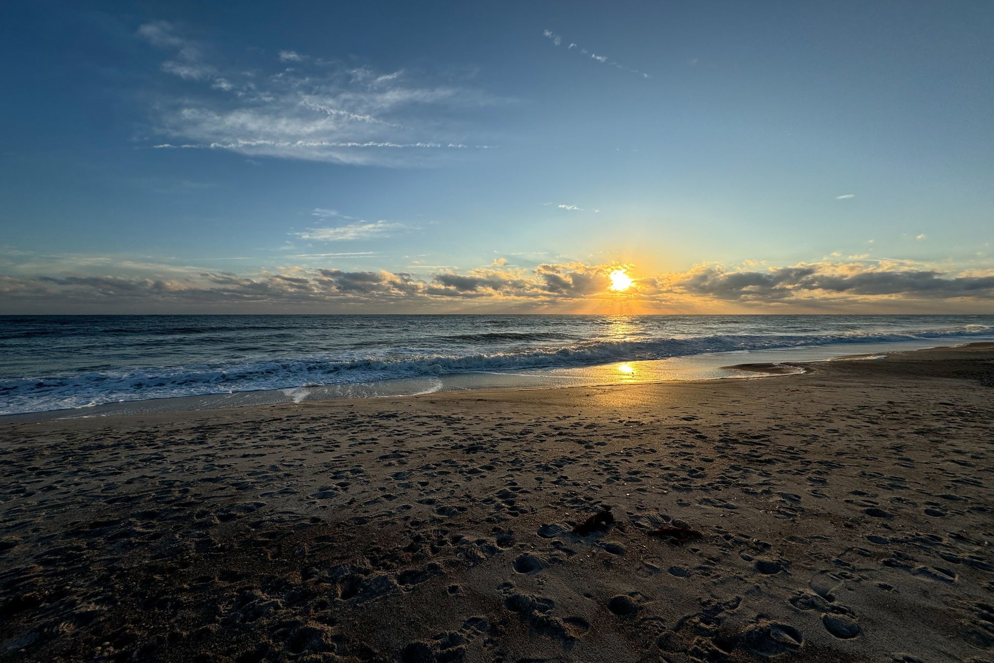 Morning walks that end like this!