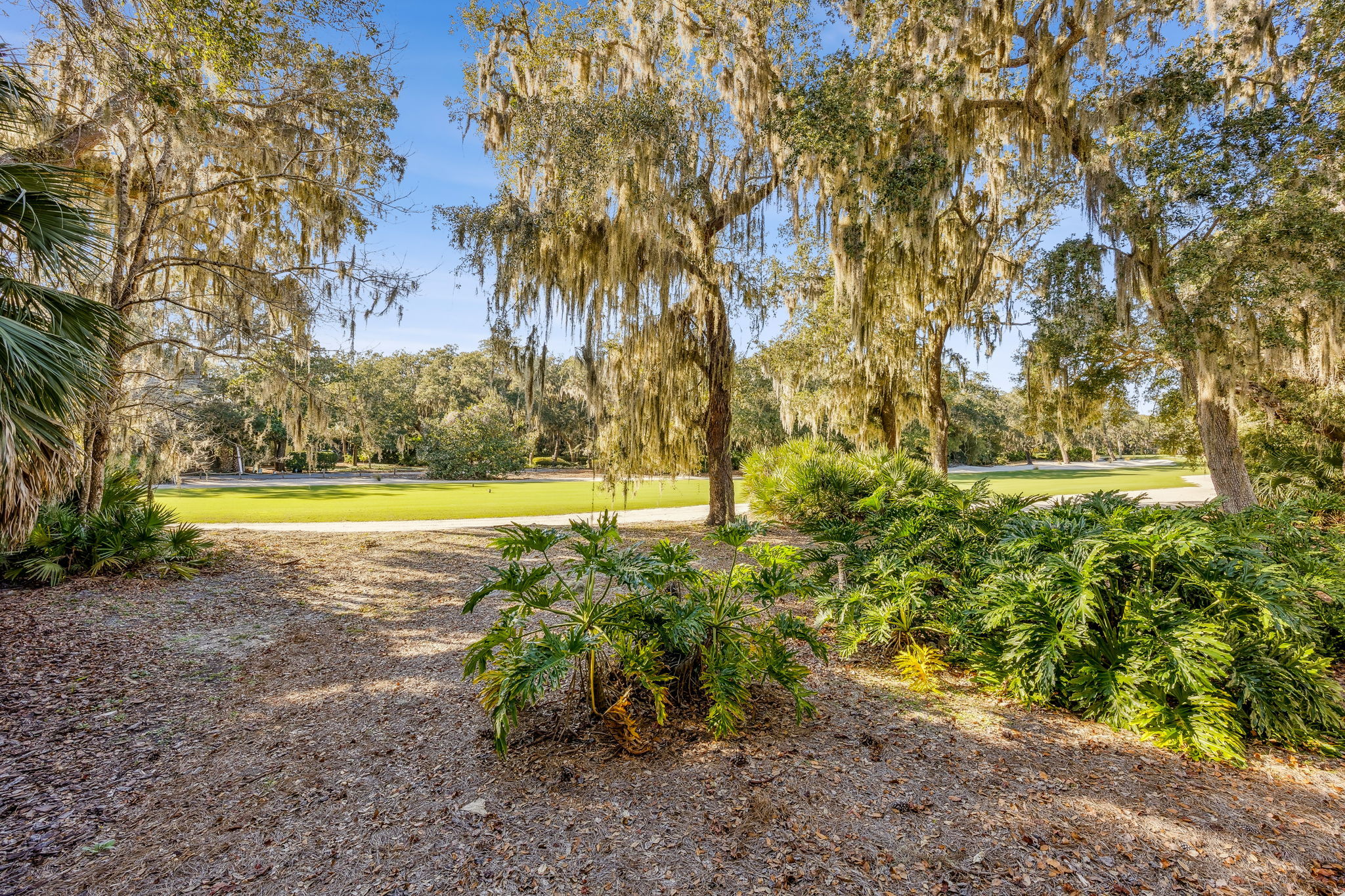 The backyard is a tranquil retreat ...