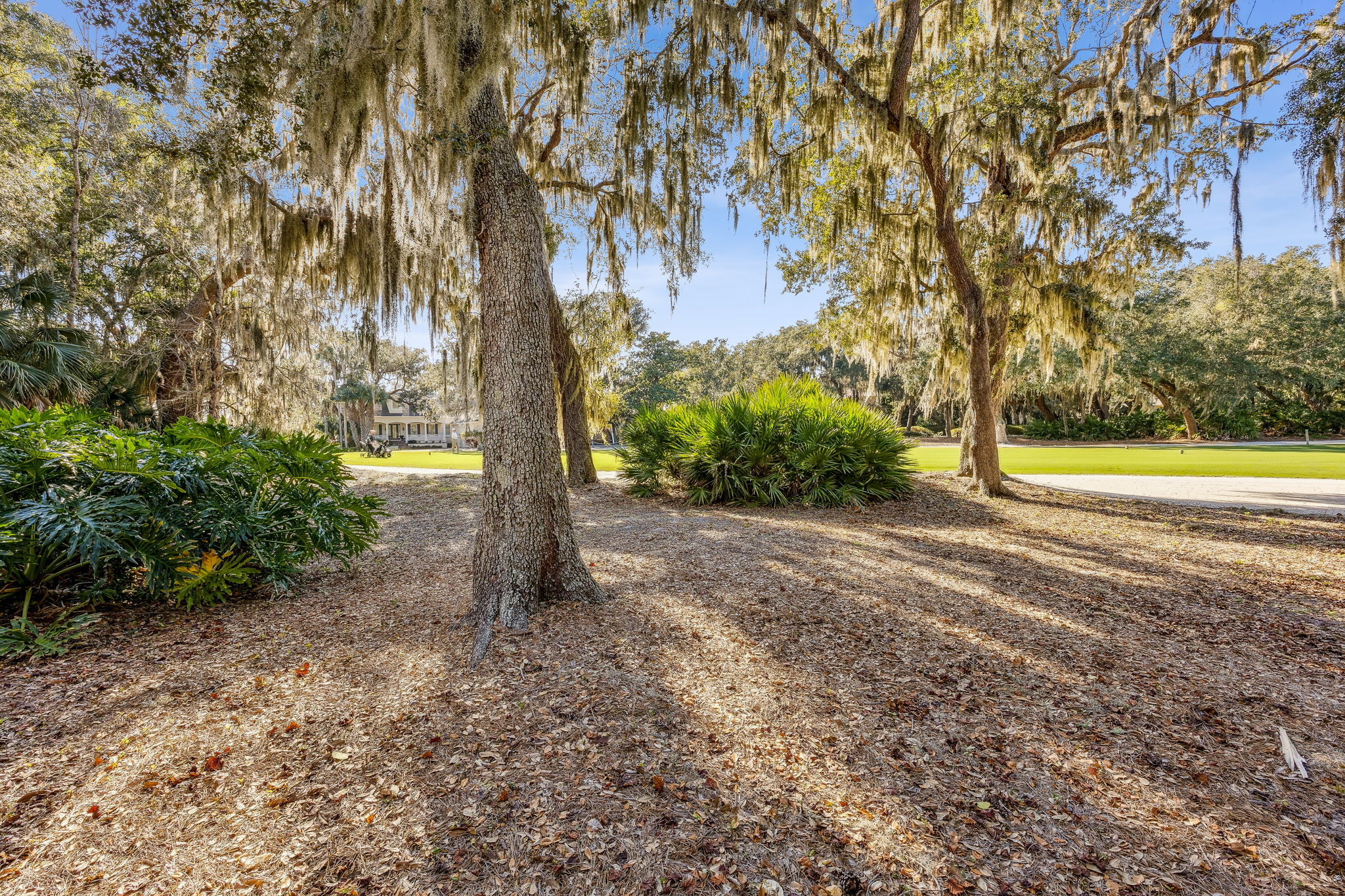 ... highlighted by golf course views framed with native palms, moss-draped oaks