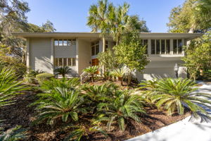 Welcome to 21 Painted Bunting!