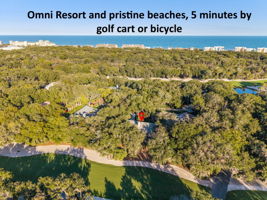 Relish the pristine beaches and abundant amenities of Amelia Island Plantation...