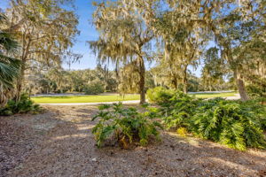 The backyard is a tranquil retreat ...