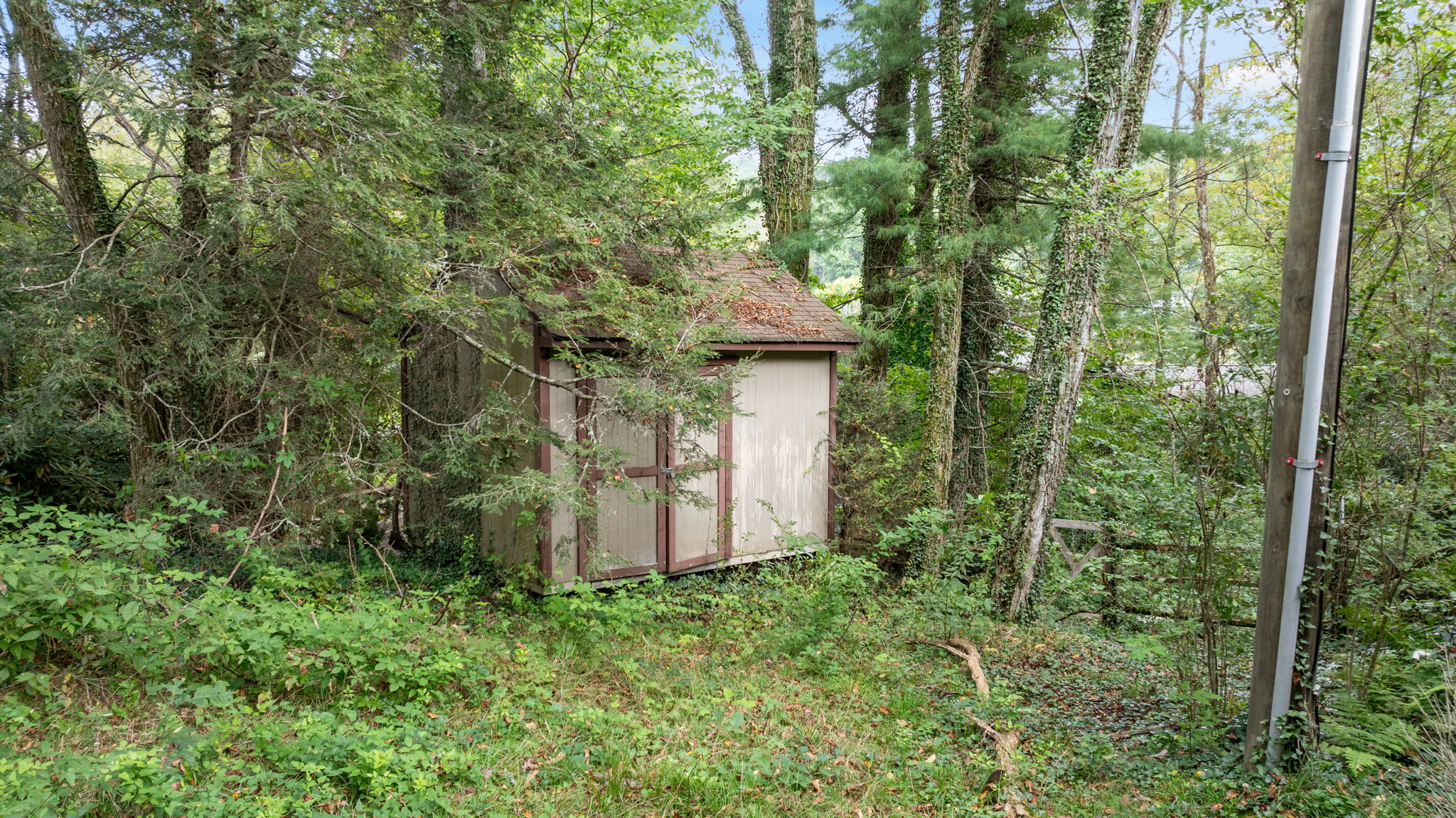  Photo 10