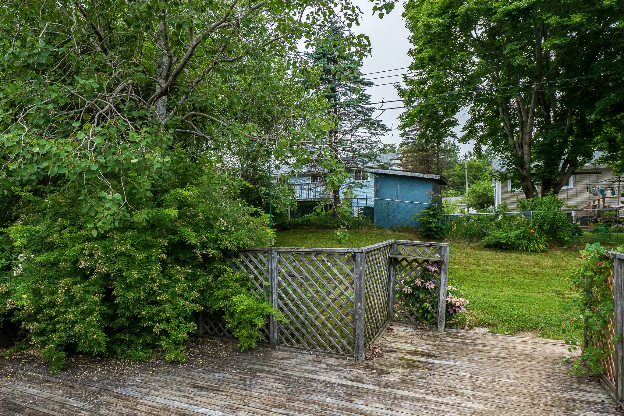  Photo 45