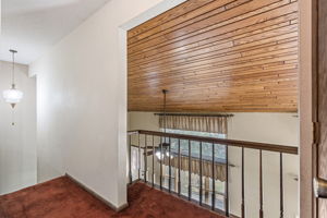  Photo 50