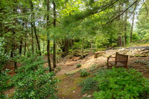  Photo 35