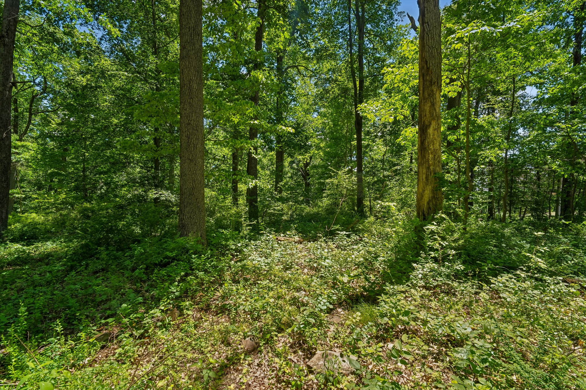 IMG03918.jpg