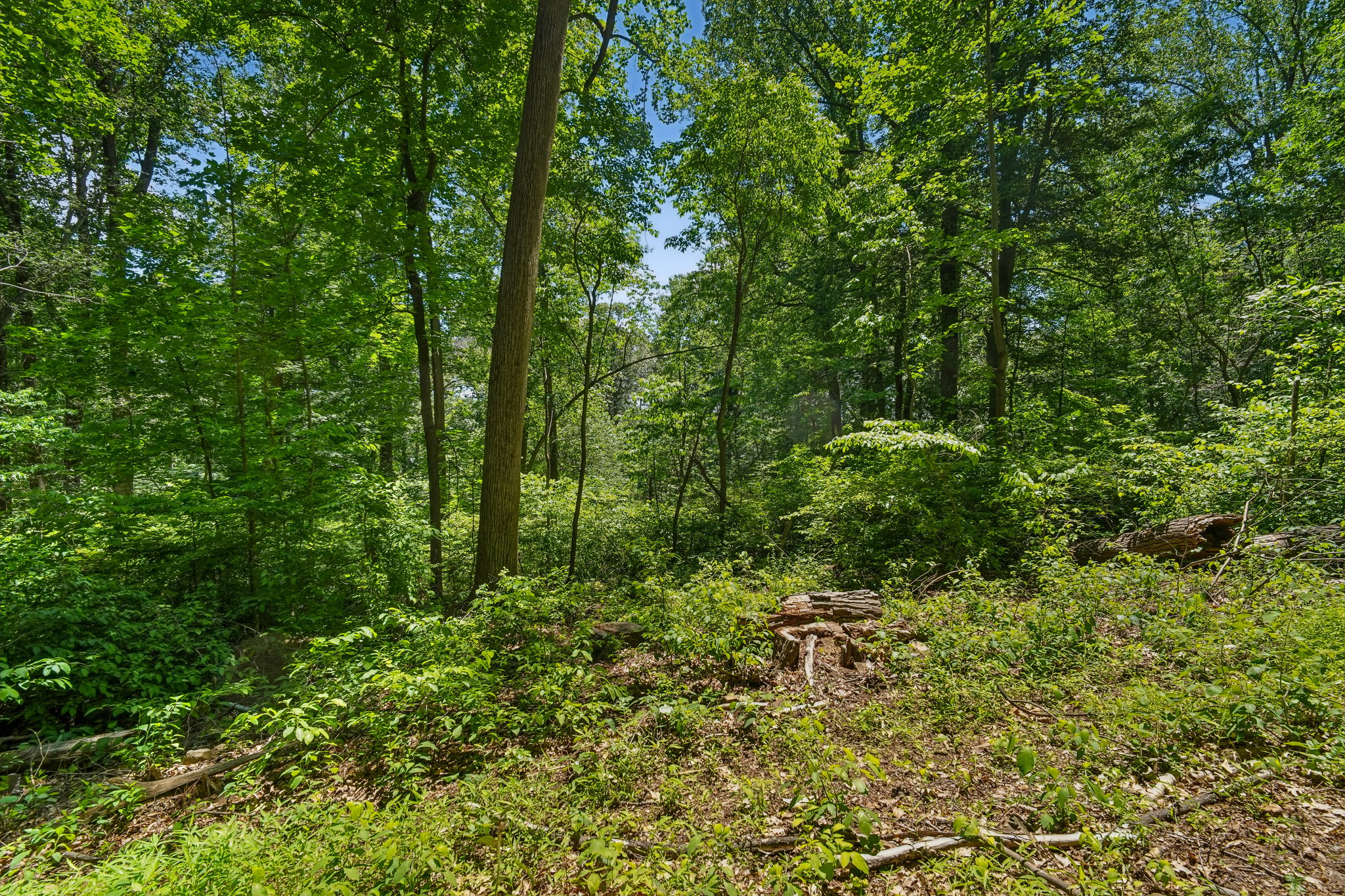 IMG03967.jpg