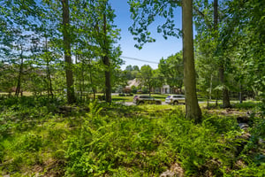 IMG03897.jpg