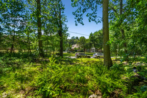 IMG03907.jpg