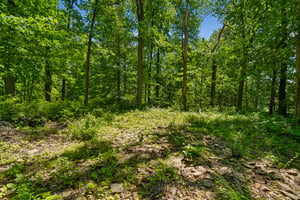 IMG03911.jpg