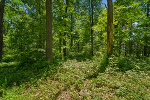 IMG03918.jpg