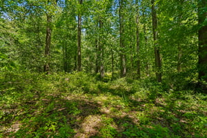 IMG03925.jpg