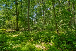 IMG03939.jpg