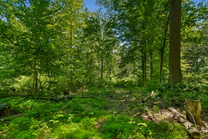 IMG03960.jpg
