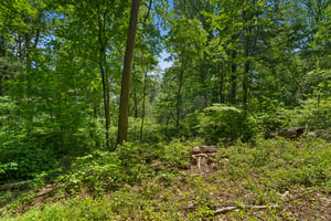 IMG03967.jpg