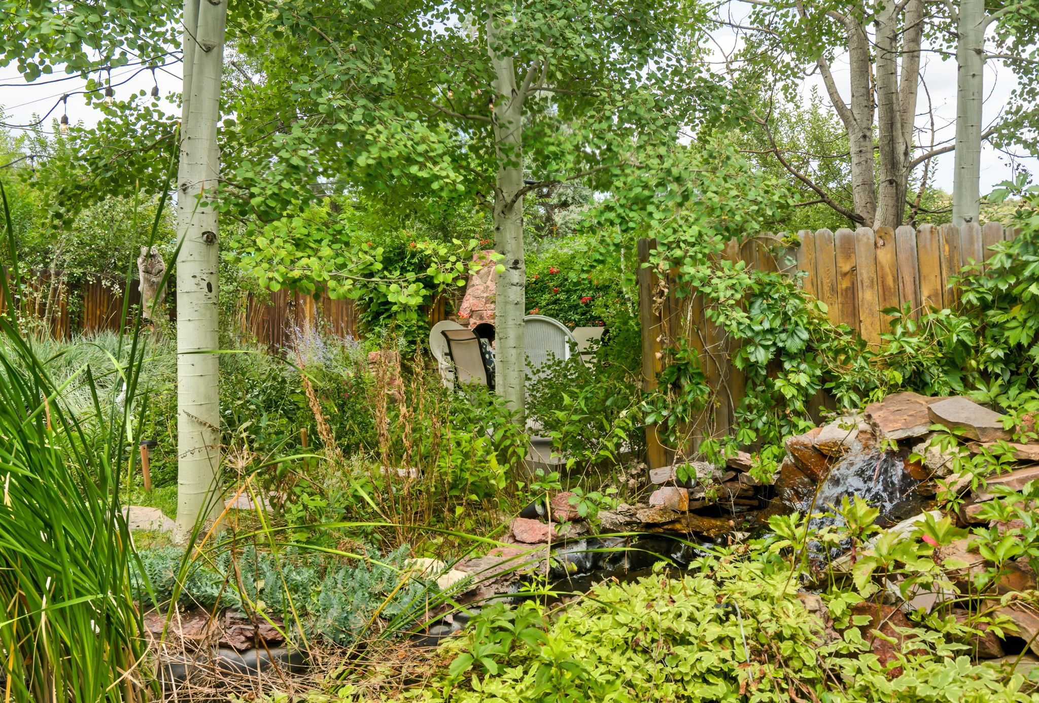 Yard