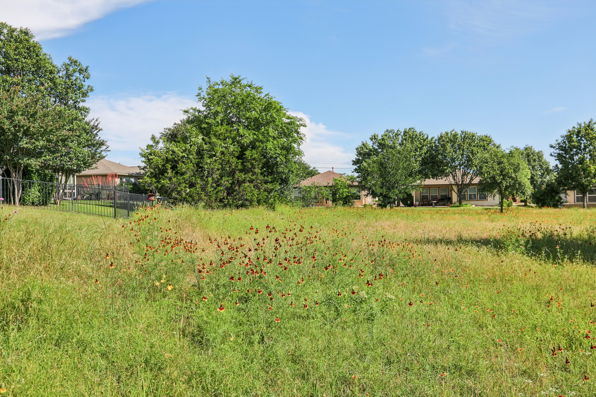 Salt Creek Lane-1205-021.jpg
