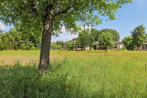 Salt Creek Lane-1205-019.jpg
