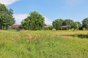 Salt Creek Lane-1205-021.jpg