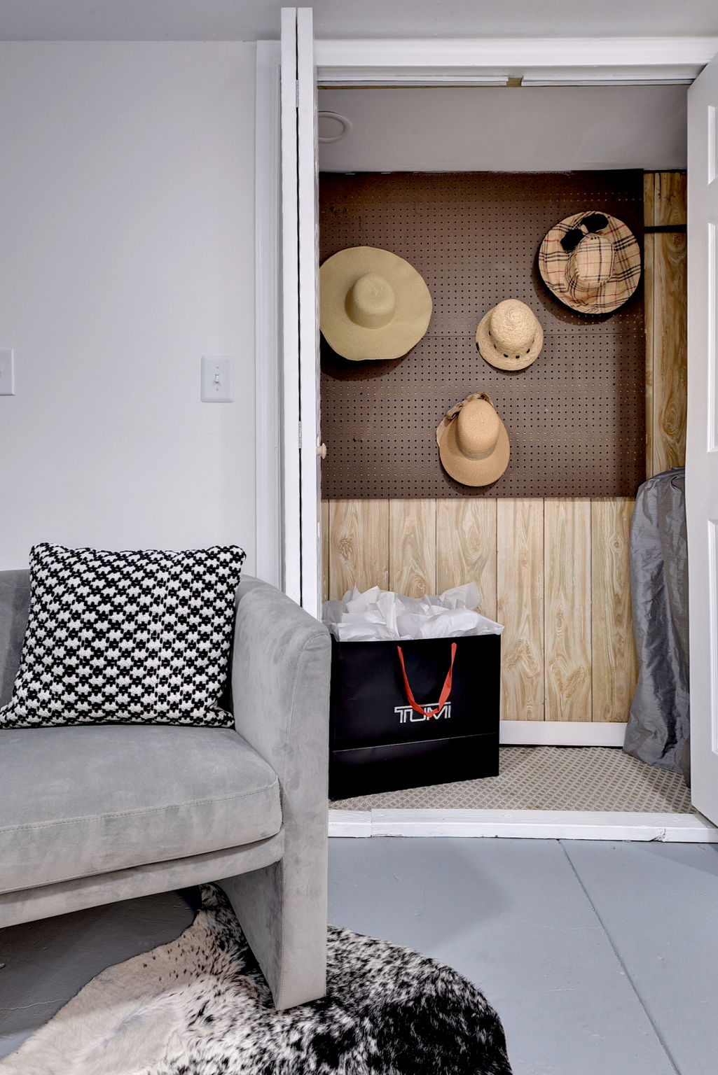 Closet on the lower level