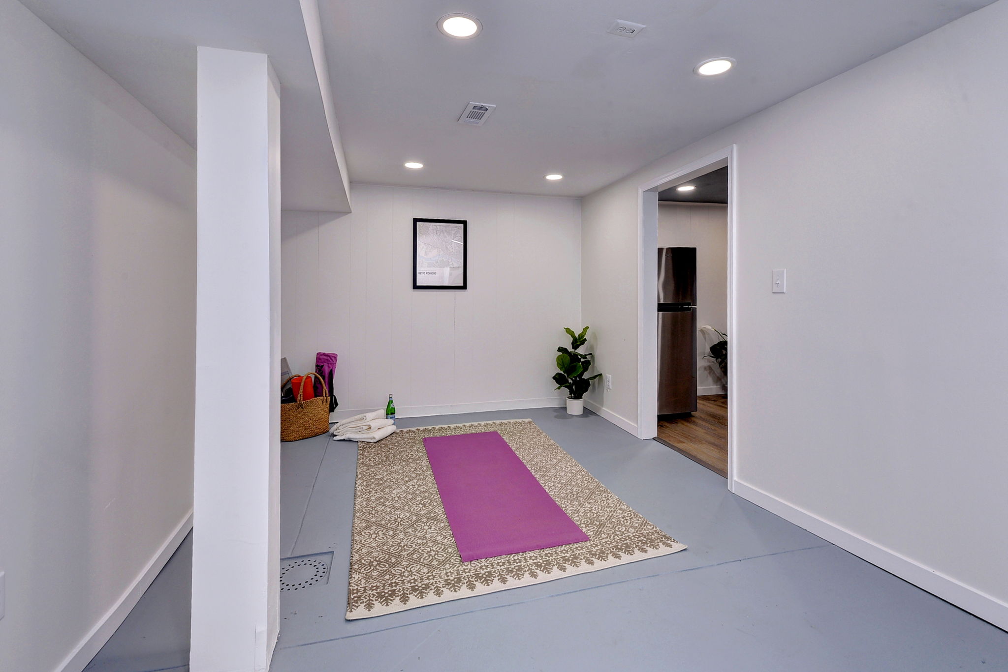 Flex Space on the lower level