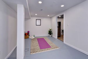 Flex Space on the lower level